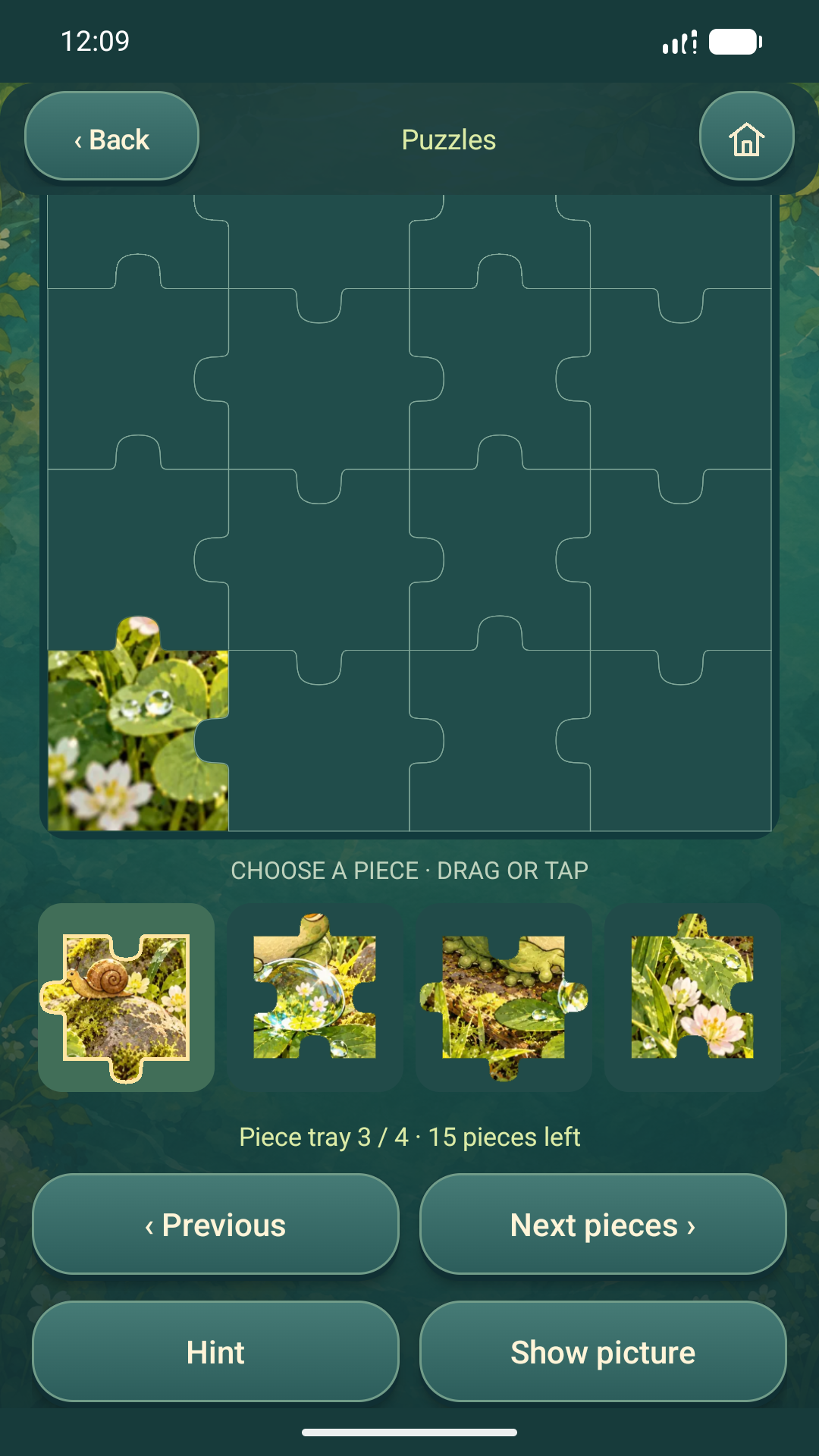 Puzzle tray with previous and next controls and a visible selected piece